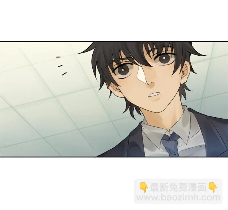 鉴别之瞳·五81
