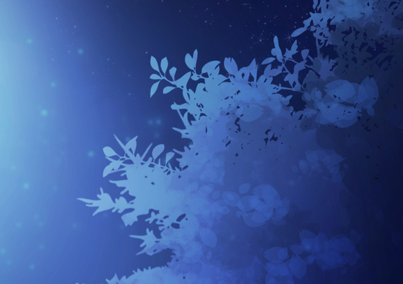 野蜘蛛·四6