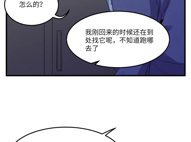 宠物食粮·五109