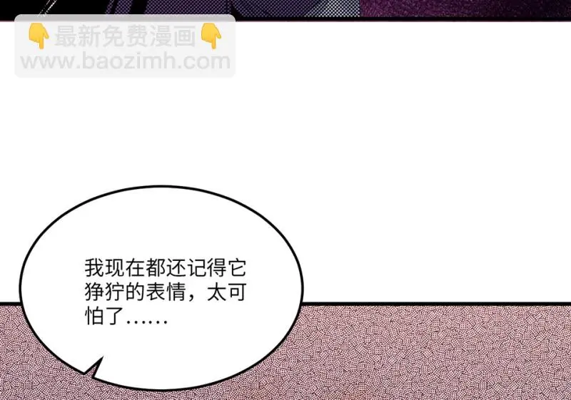 宠物食粮·五71