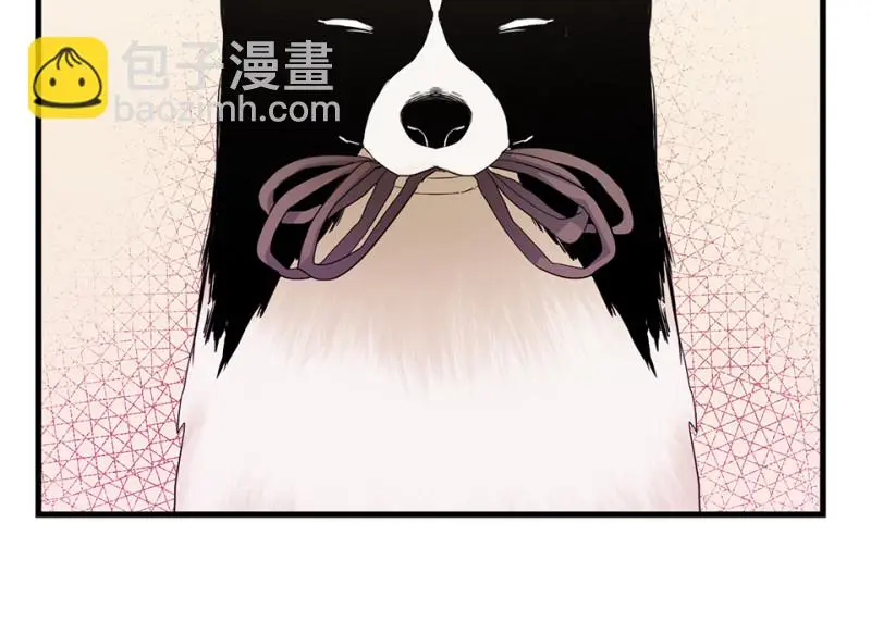 宠物食粮·三121
