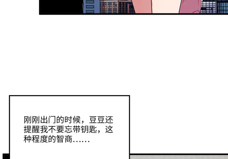 宠物食粮·二77