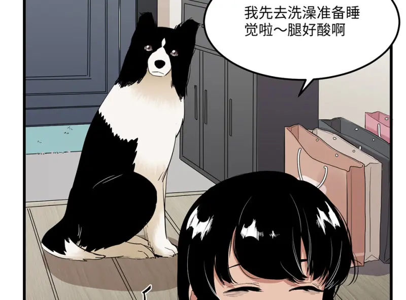 宠物食粮·四75