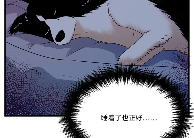 宠物食粮·七92