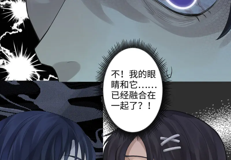 鉴别之瞳·八131