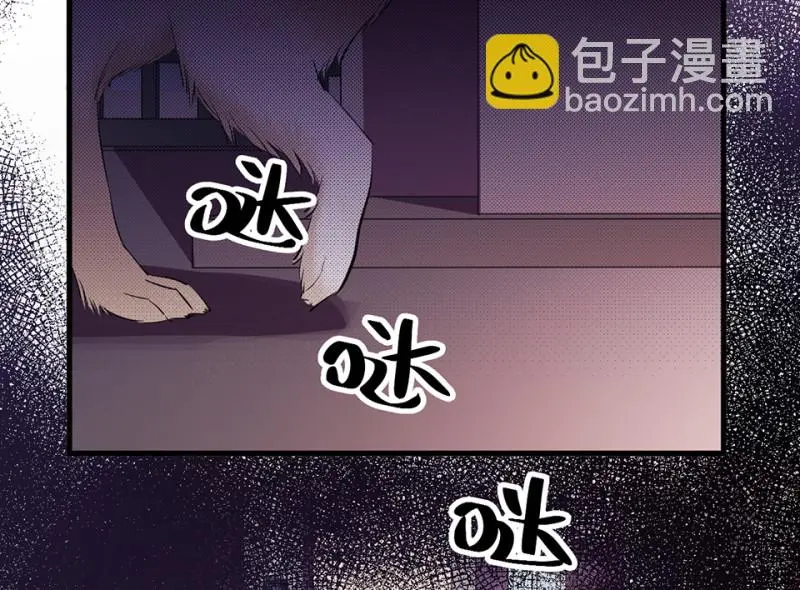 宠物食粮·五49