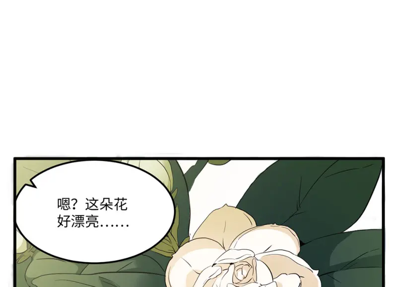 宠物食粮·三47