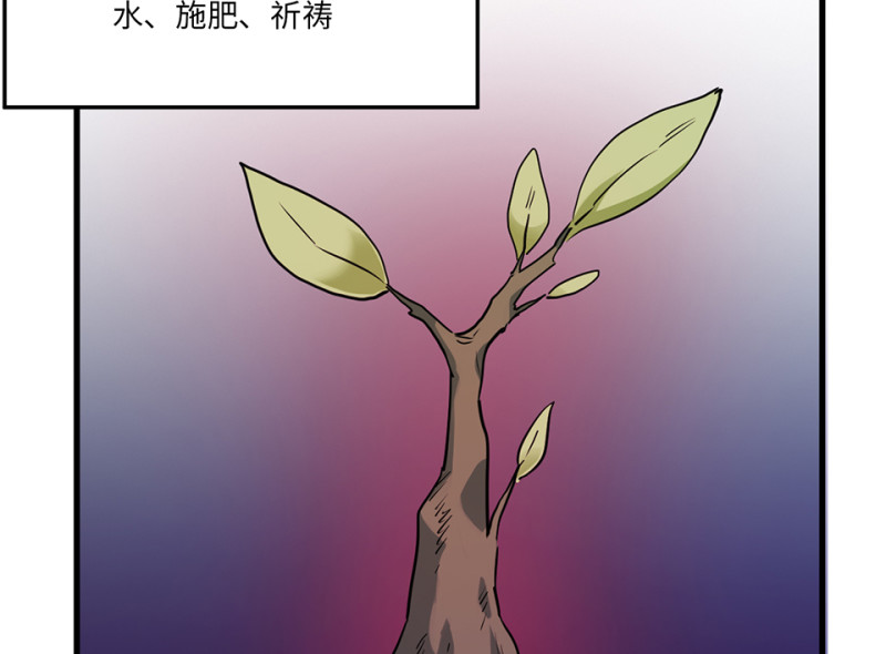 培育土壤·四85