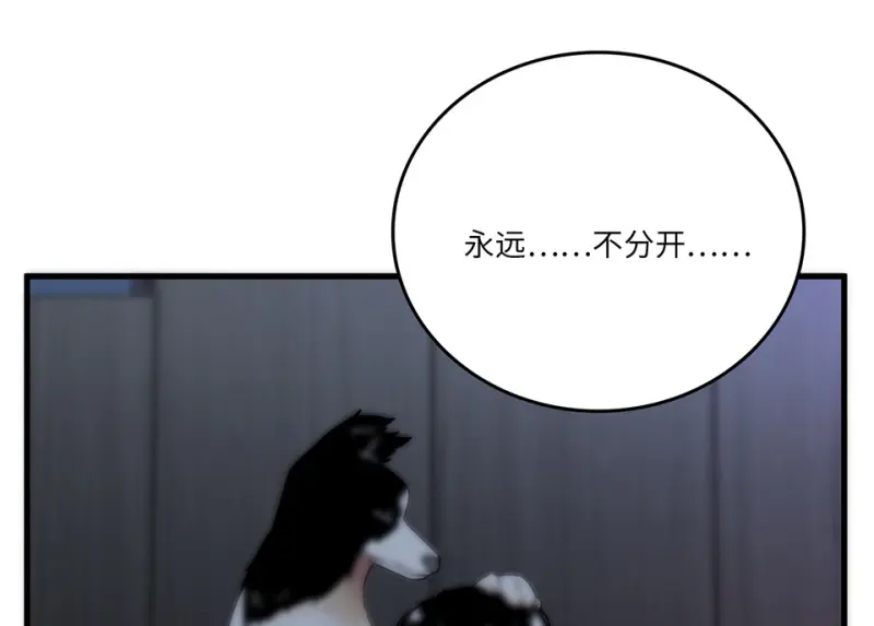 宠物食粮·七154
