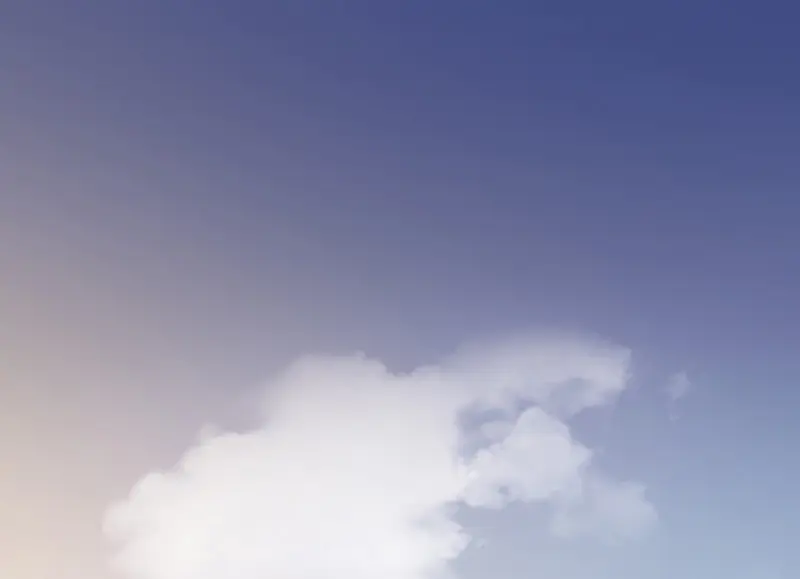 野蜘蛛·二5