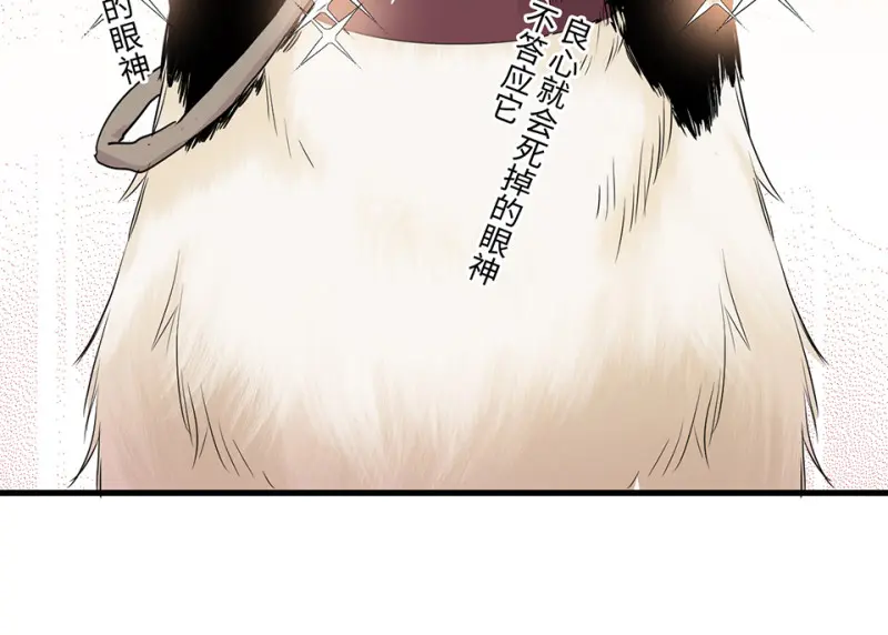 宠物食粮·一143