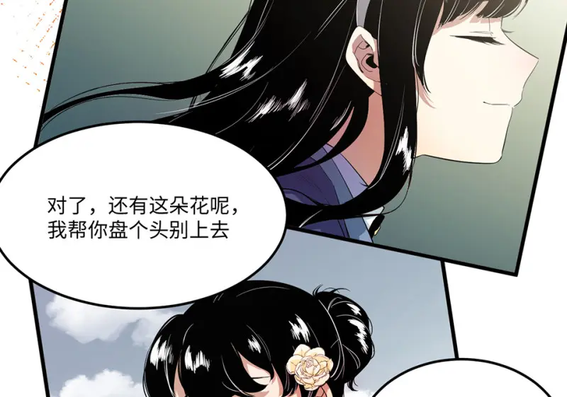 宠物食粮·三75