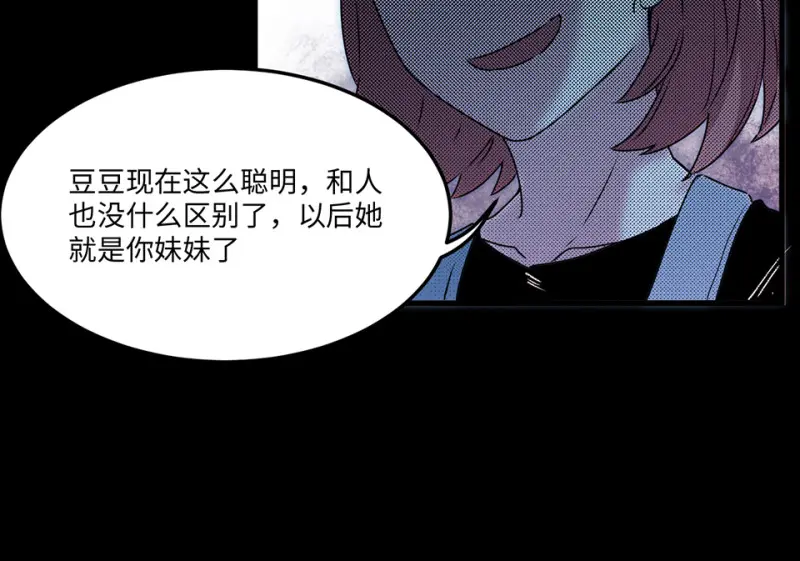 宠物食粮·六31