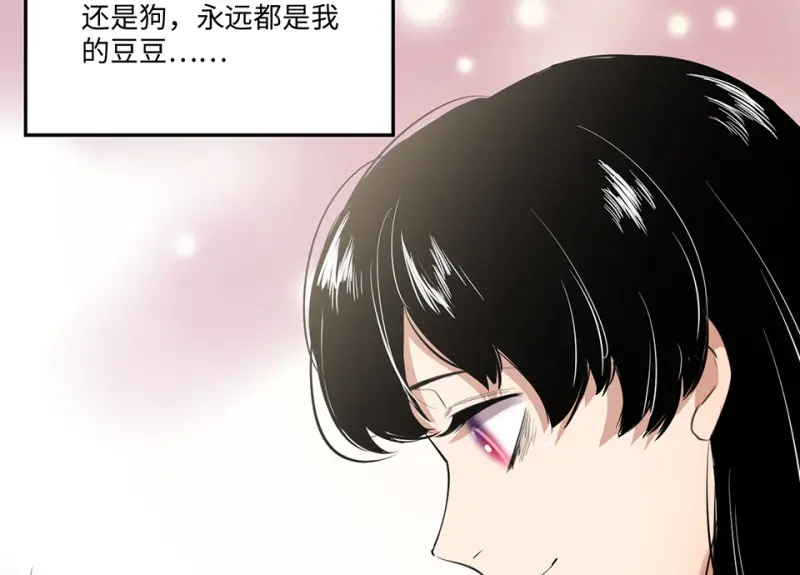 宠物食粮·二146