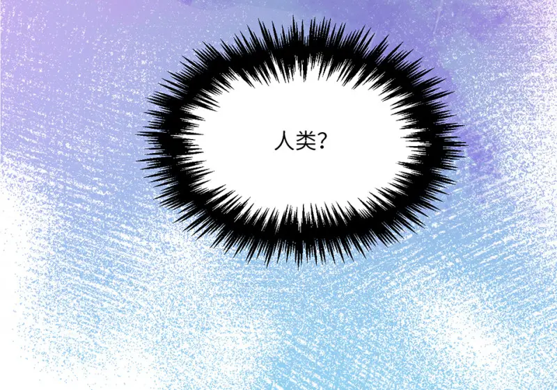 野蜘蛛·二204