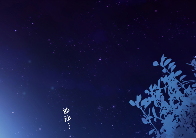 野蜘蛛·四5
