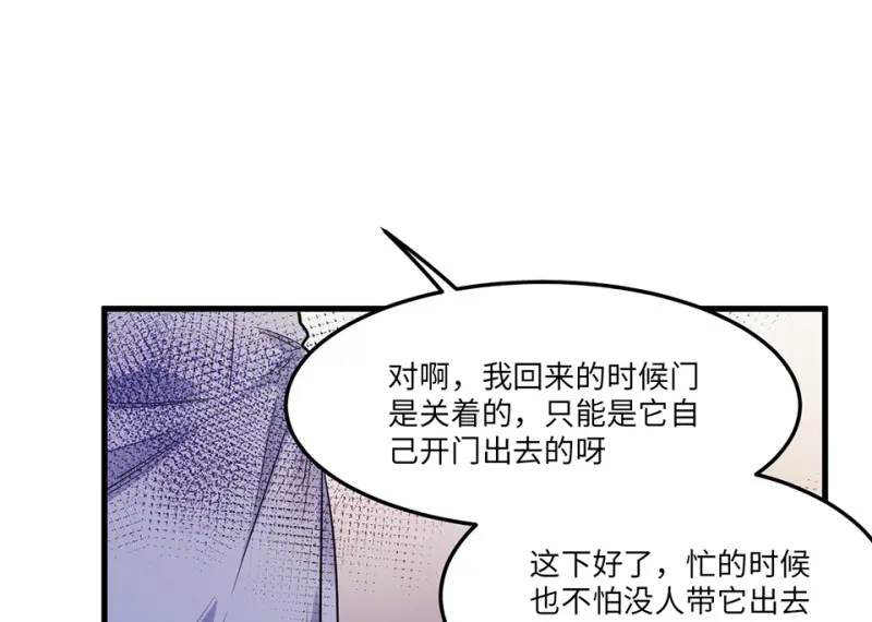 宠物食粮·五114