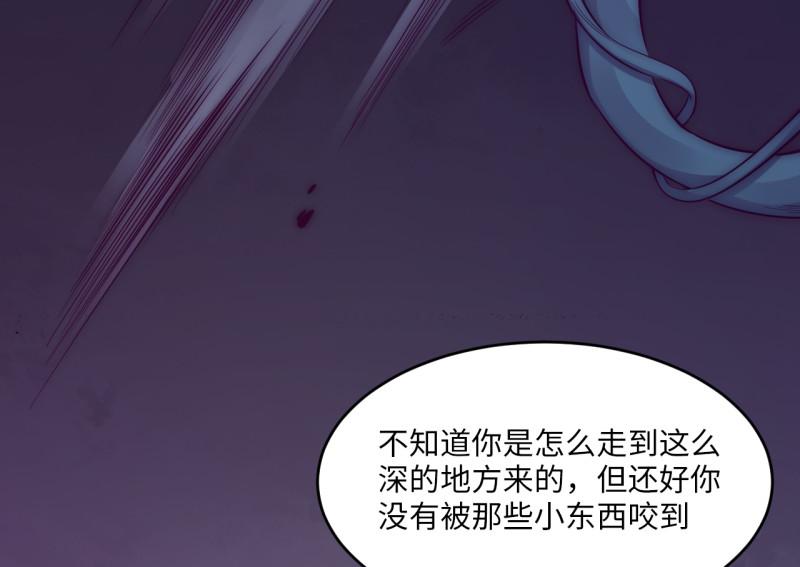 野蜘蛛·三33
