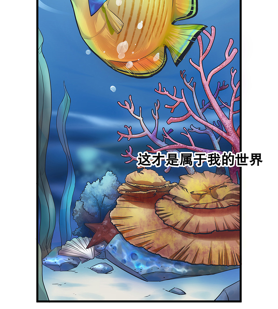 蝴蝶鱼·三24