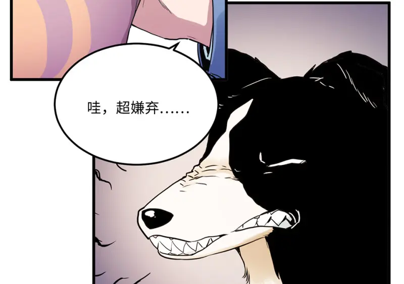 宠物食粮·一125