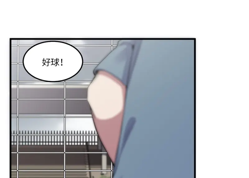 宠物食粮·五9