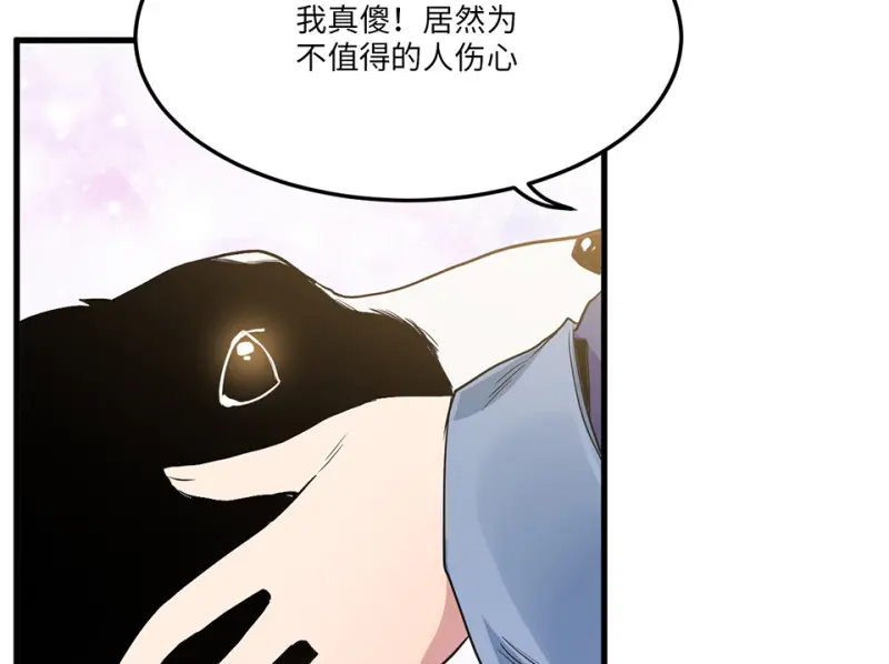 宠物食粮·一105