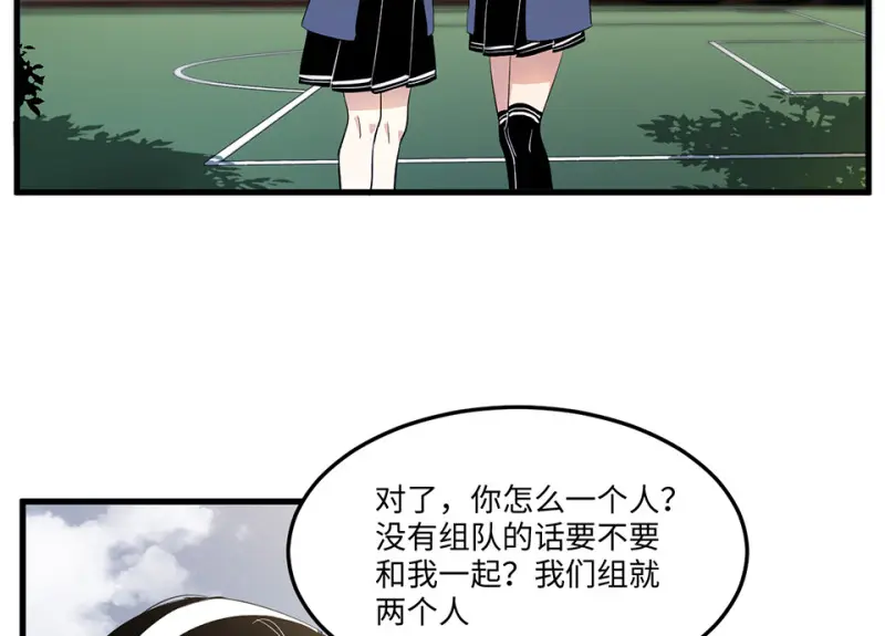 宠物食粮·三66