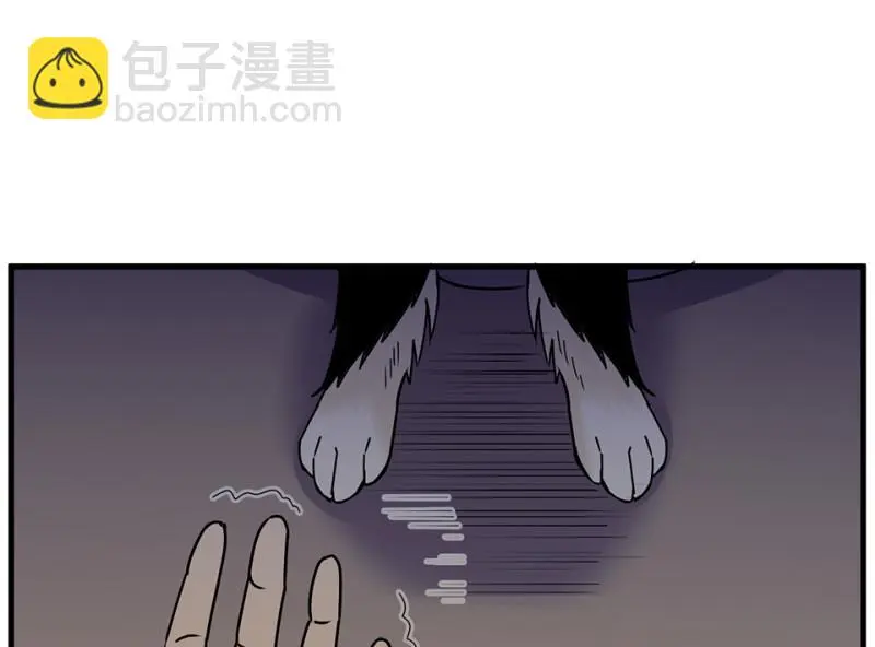 宠物食粮·七126