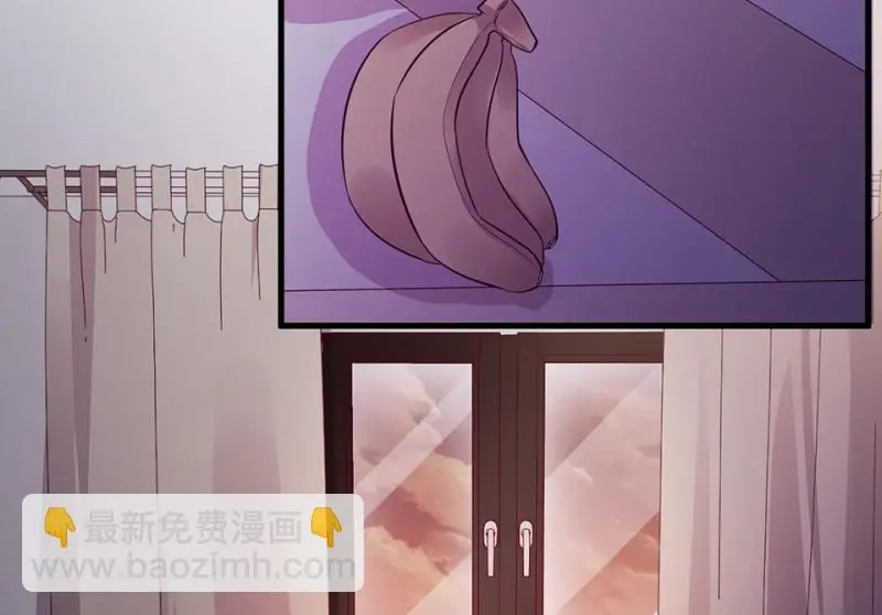 野蜘蛛·一205