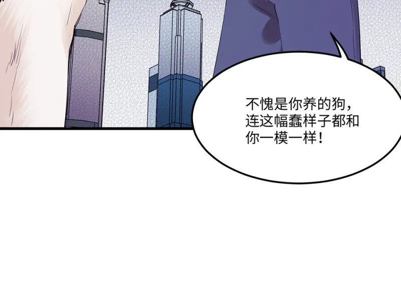 宠物食粮·二101