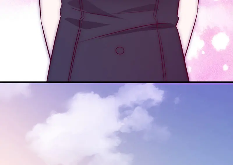 野蜘蛛·四161