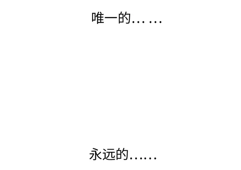 宠物食粮·二153