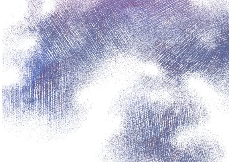 野蜘蛛·五121