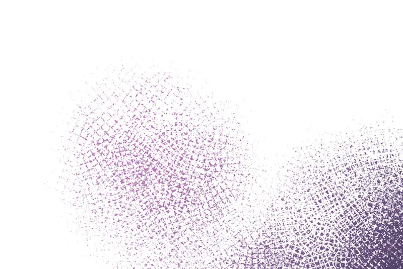 野蜘蛛·一248