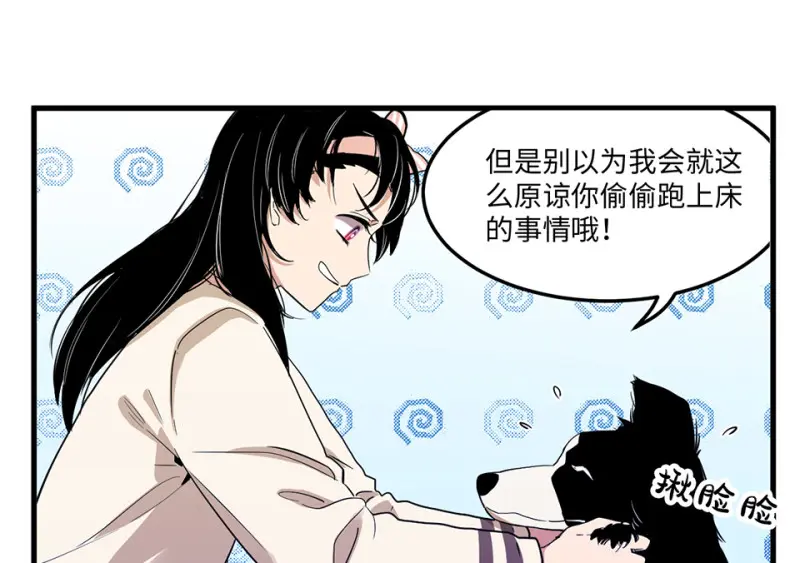 宠物食粮·二47