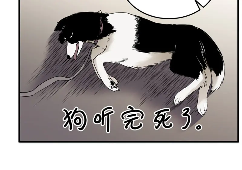 宠物食粮·一128