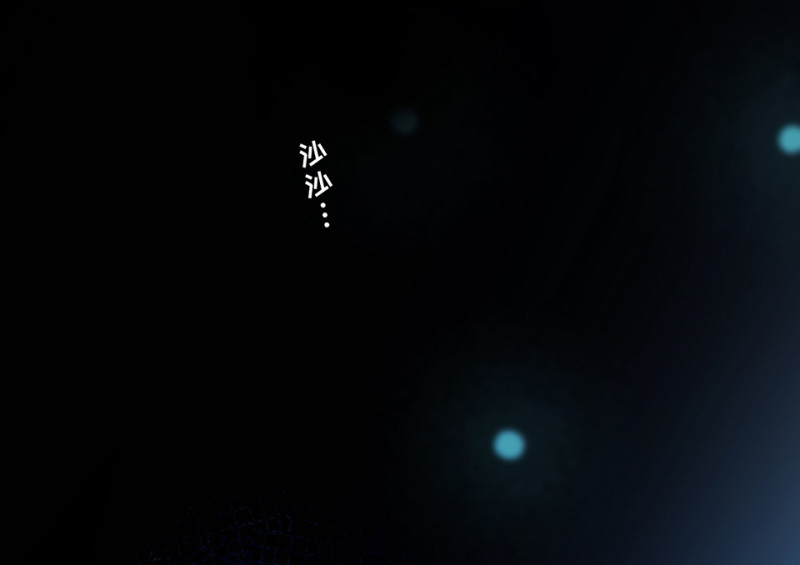 野蜘蛛·四12