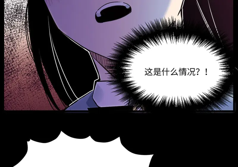 宠物食粮·六27