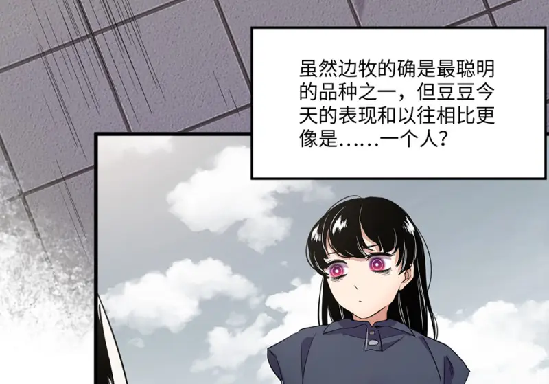 宠物食粮·二75