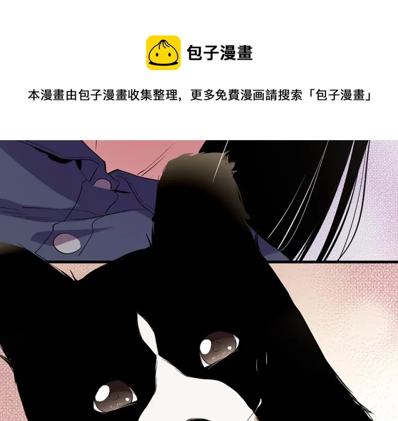 宠物食粮·二150
