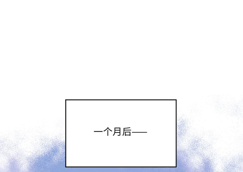 野蜘蛛·六5