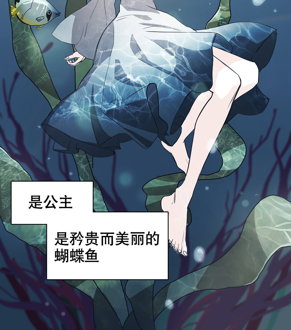 蝴蝶鱼·一26