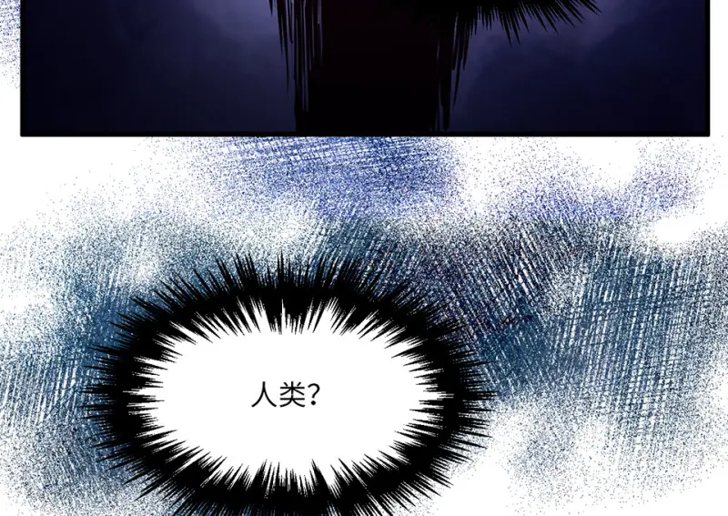 野蜘蛛·四106