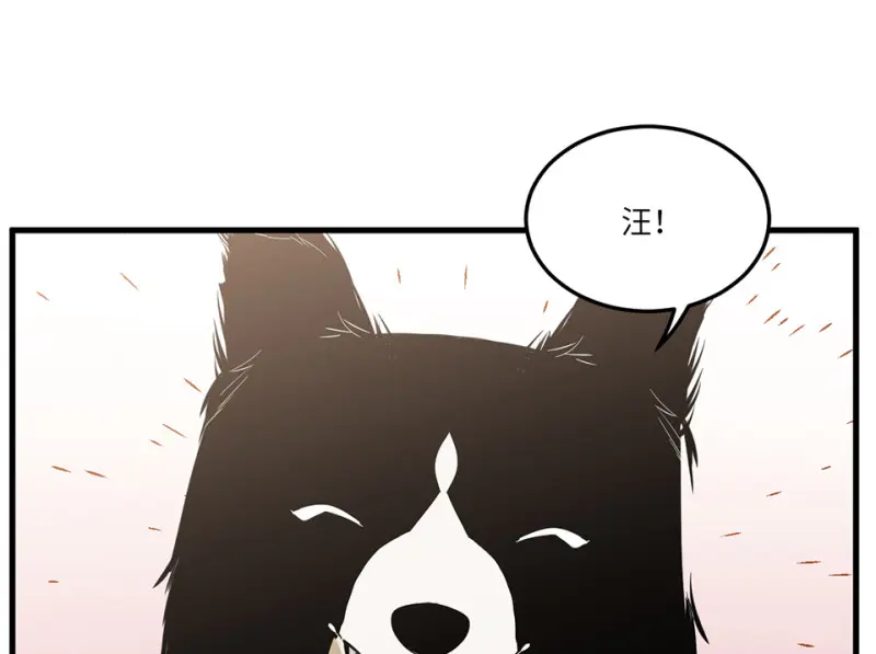 宠物食粮·五99