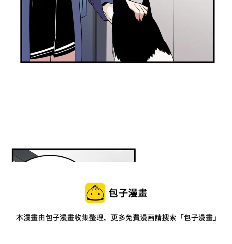宠物食粮·三20