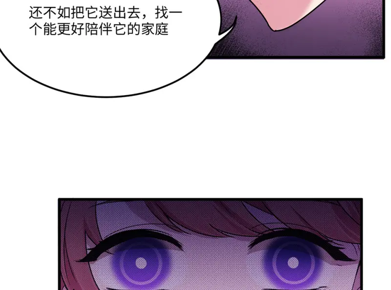 宠物食粮·六85