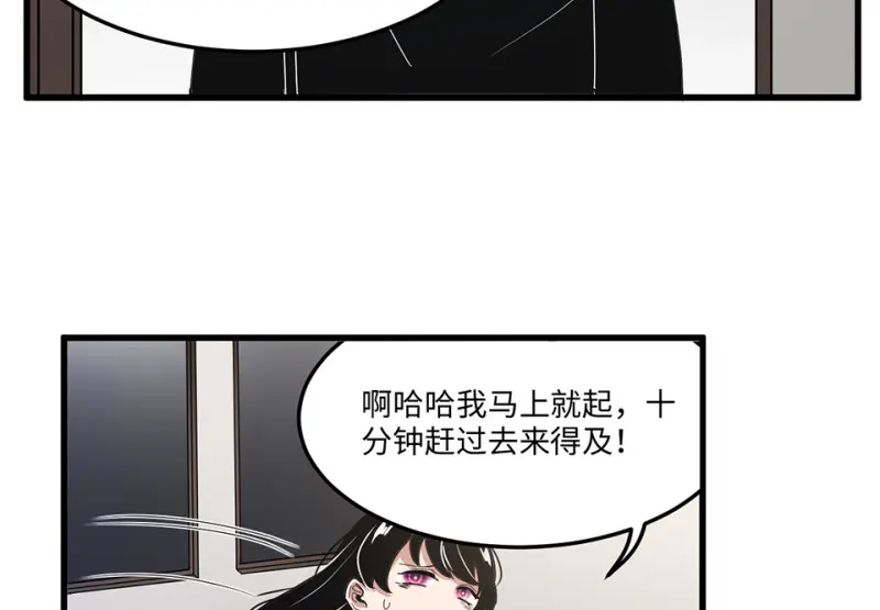 宠物食粮·六71