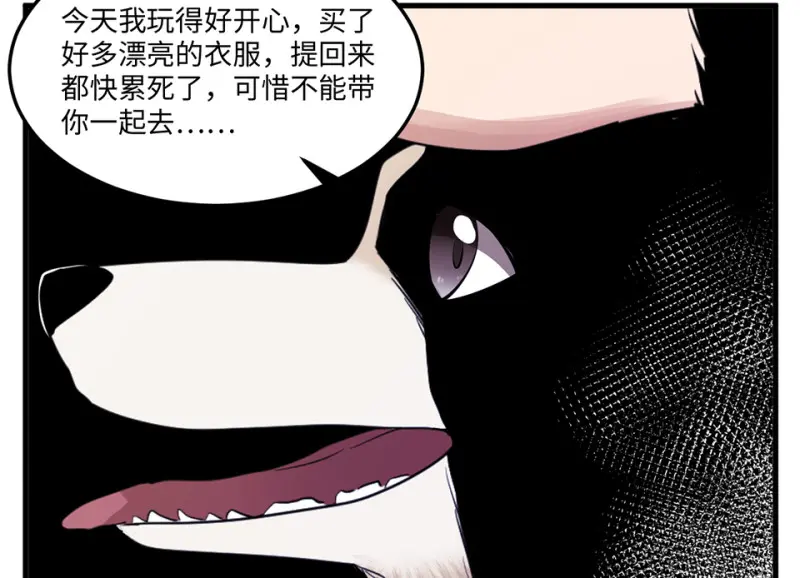 宠物食粮·四68