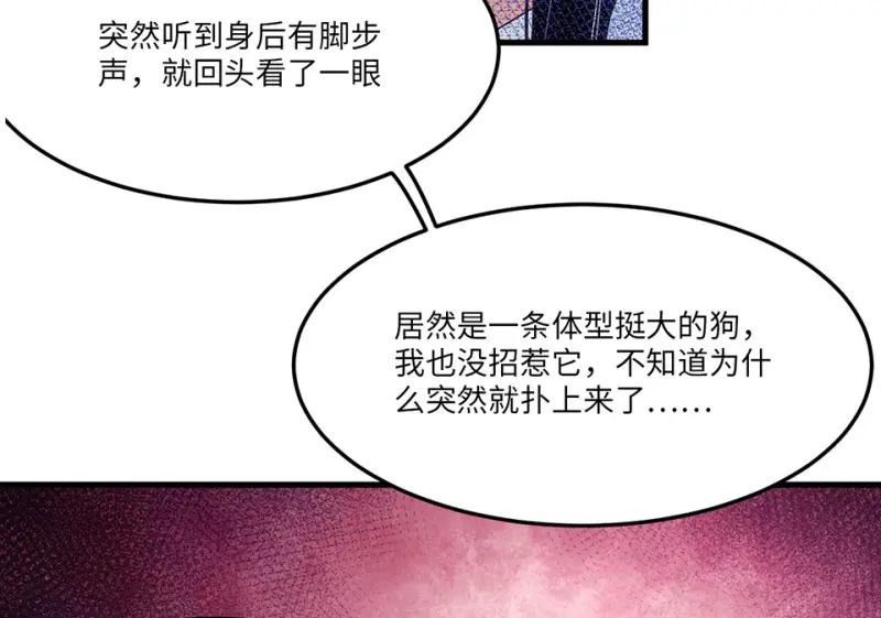 宠物食粮·五68