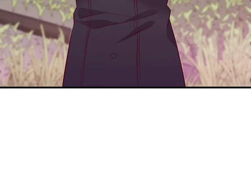 野蜘蛛·四169